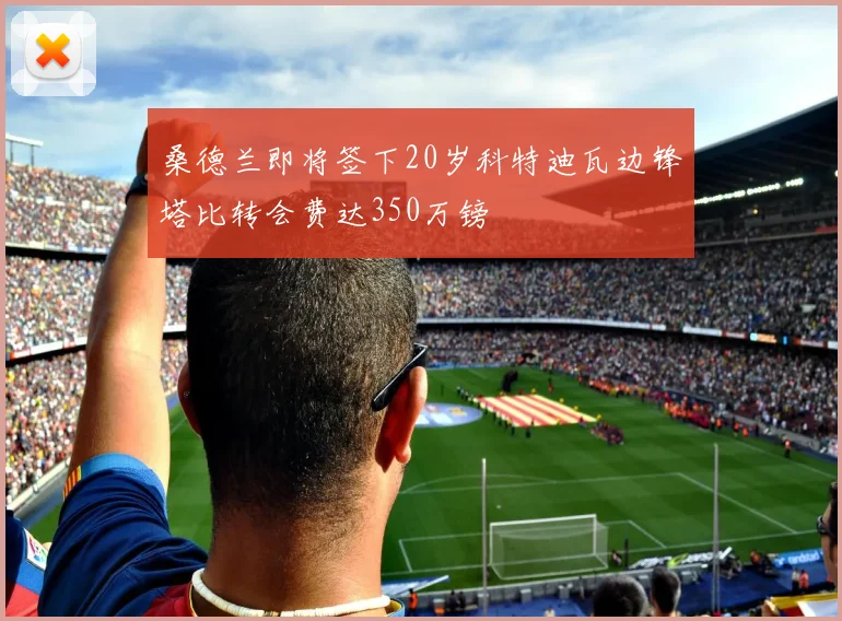 桑德兰即将签下20岁科特迪瓦边锋塔比转会费达350万镑
